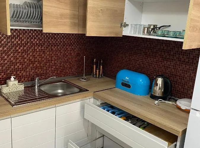 Lion's Apartment *